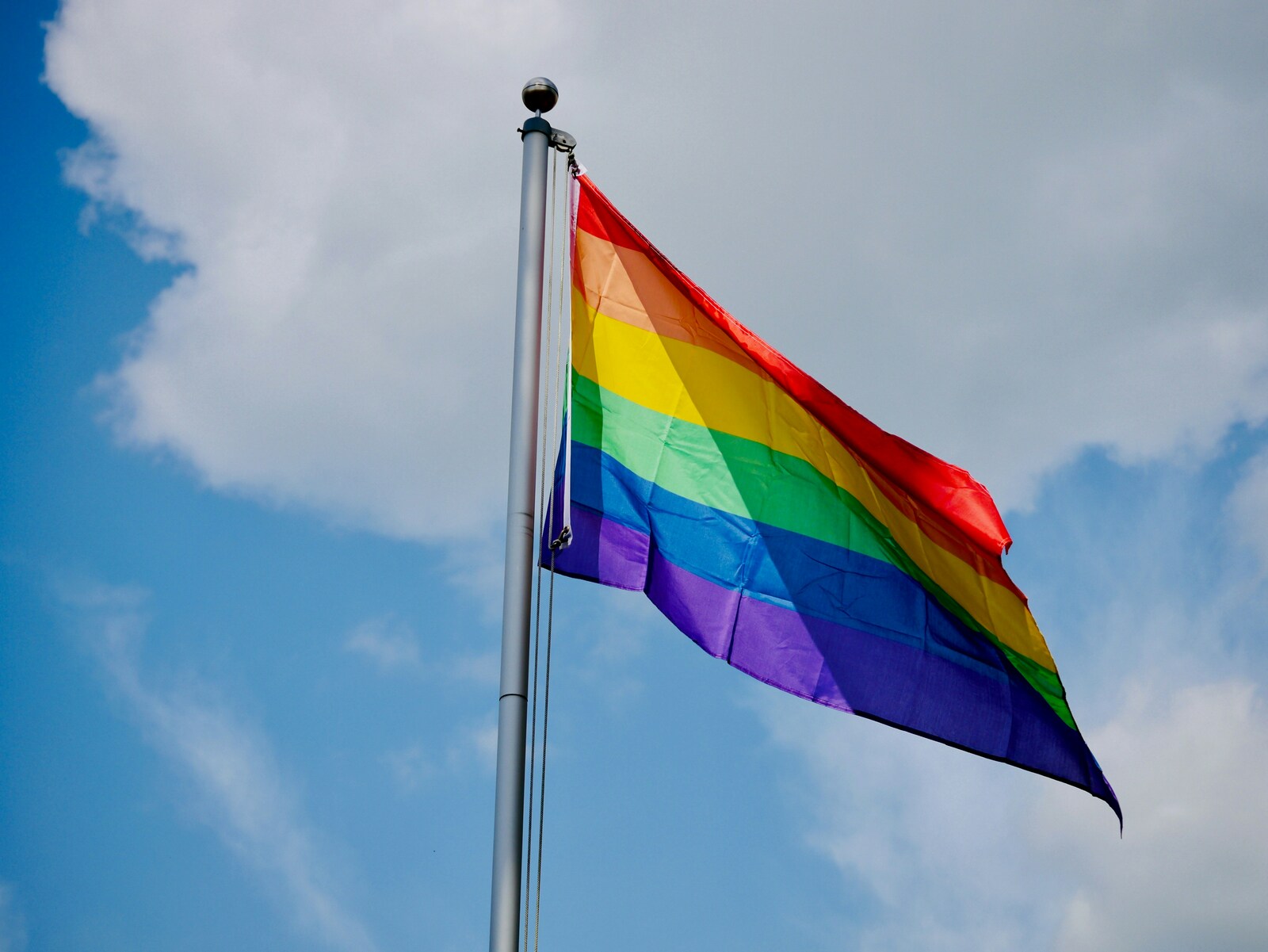 LGBTQ+ 